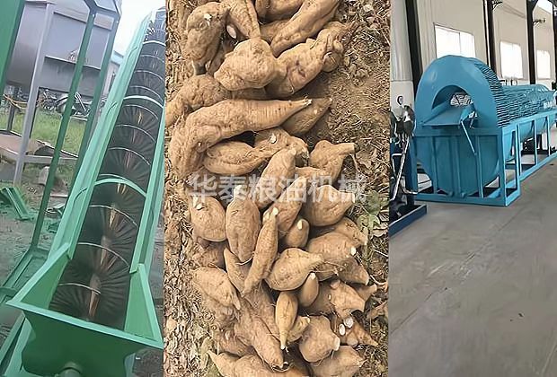 葛根粉生產云顶国际