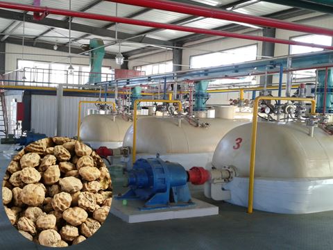 油莎豆油加工云顶国际，按需定制方案云顶国际